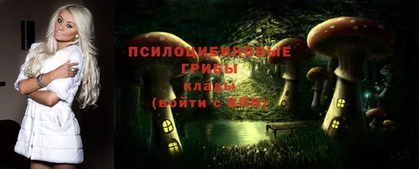 индика Саяногорск