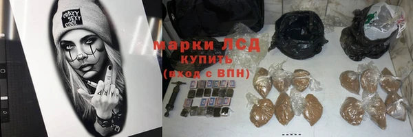 прущие грибы Сафоново