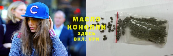 индика Саяногорск