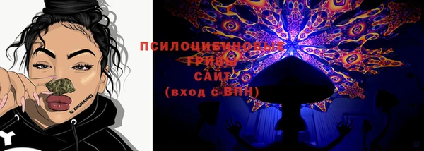 прущие грибы Сафоново